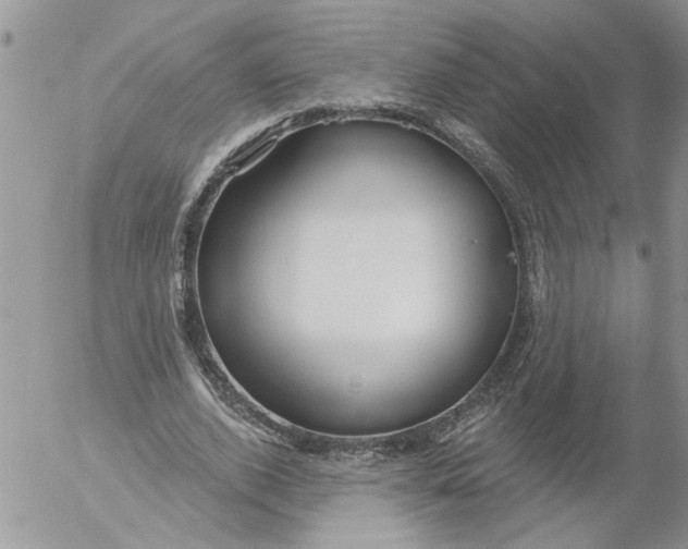 X0000053060728200508011913