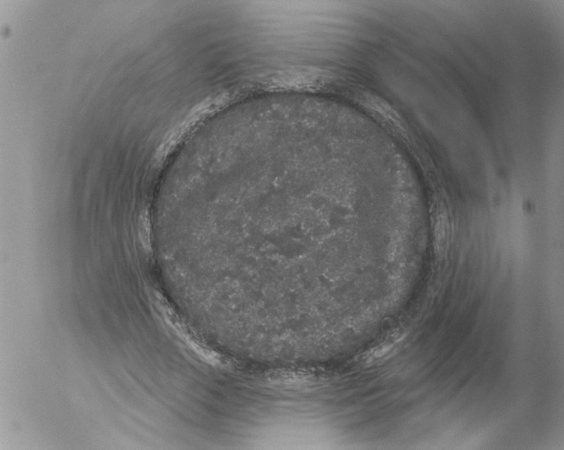 X0000053060729200508011913