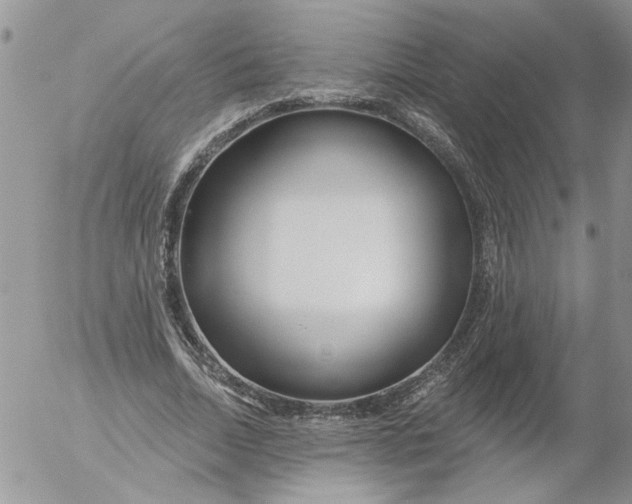 X0000053060730200508011913