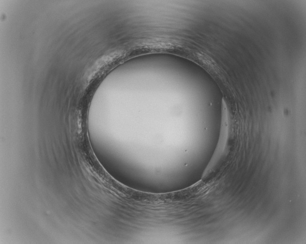 X0000053060731200508011913