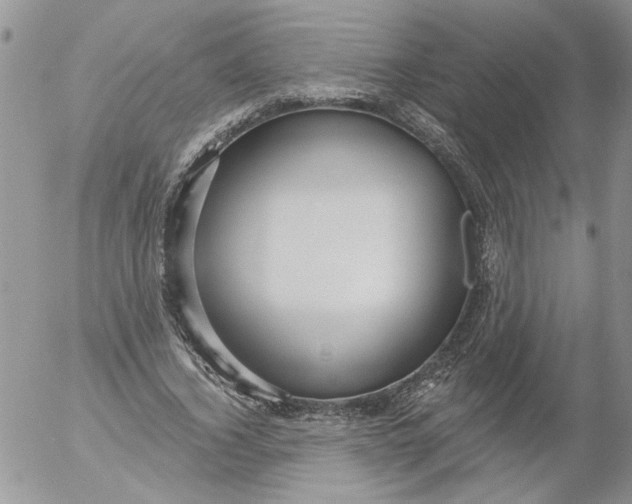 X0000053060732200508011913