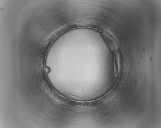 X0000053060733200508011913