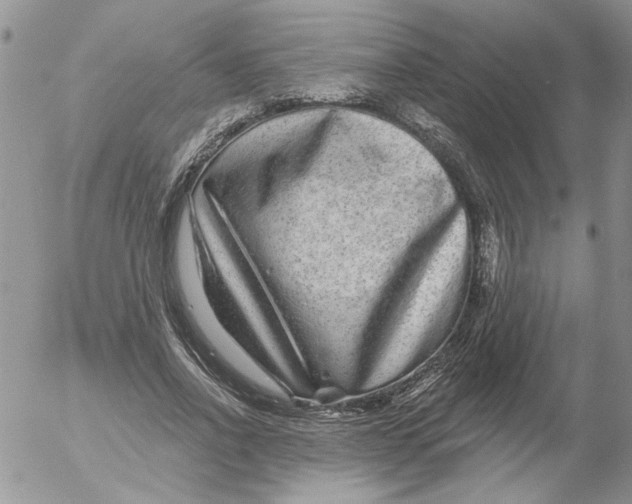 X0000053060734200508011913