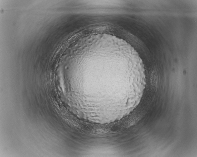 X0000053060737200508011913