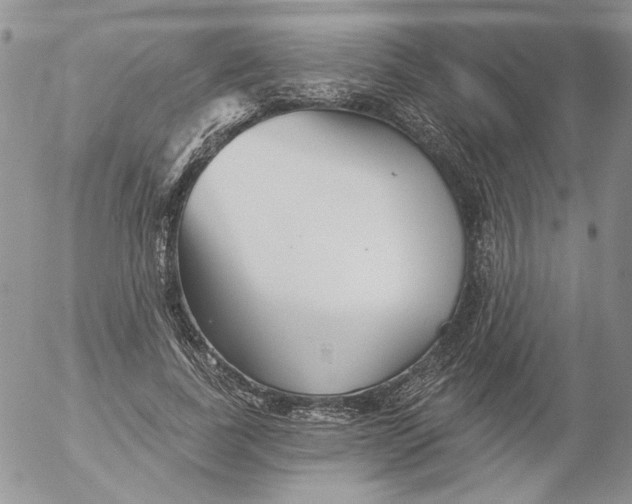 X0000053060739200508011913