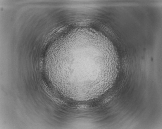 X0000053060741200508011913