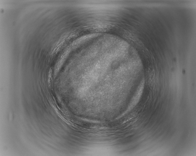 X0000053060742200508011913