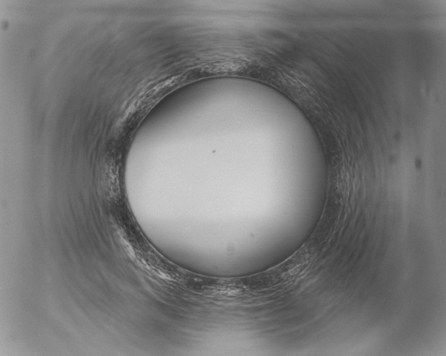 X0000053060743200508011913