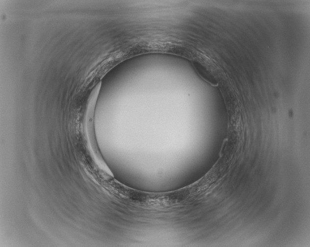 X0000053060744200508011913