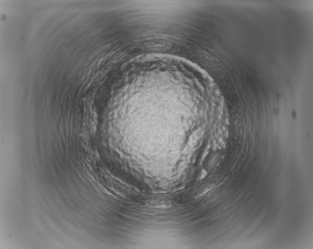 X0000053060745200508011913