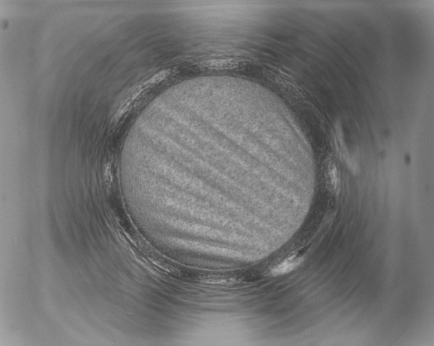 X0000053060746200508011913