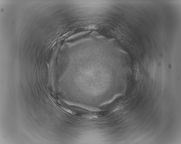 X0000053060747200508011913