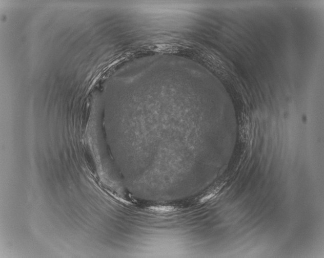 X0000053060748200508011913