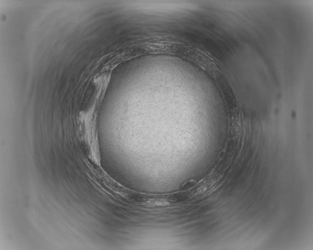 X0000053060749200508011913