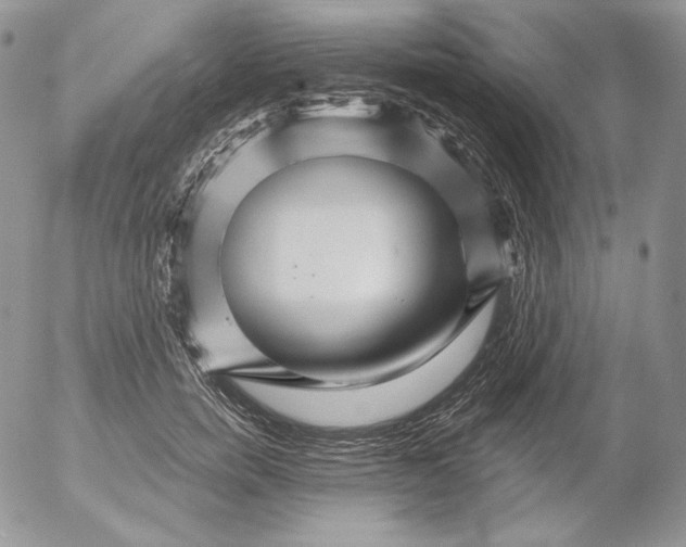 X0000053060750200508011913