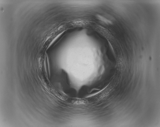 X0000053060751200508011913