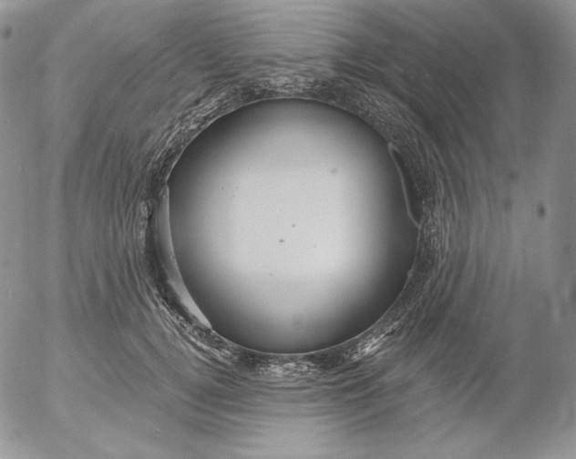 X0000053060752200508011913