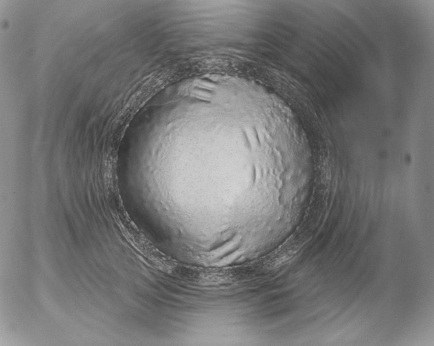 X0000053060753200508011913