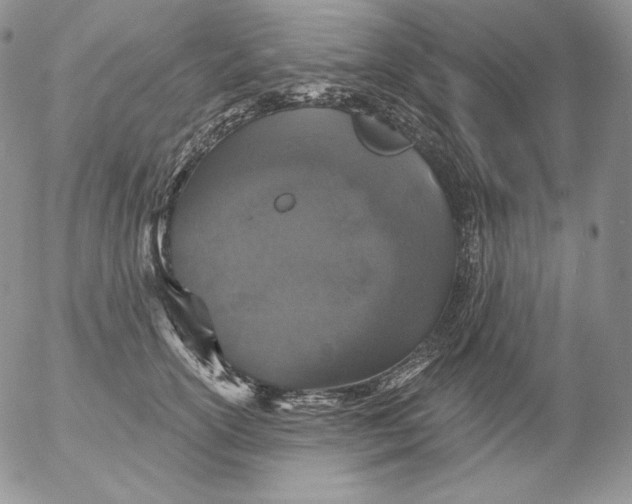 X0000053060754200508011914