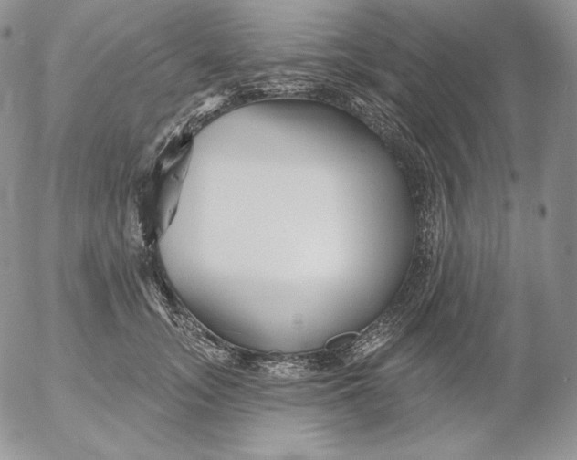 X0000053060755200508011914