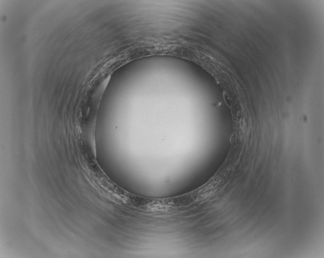 X0000053060756200508011914