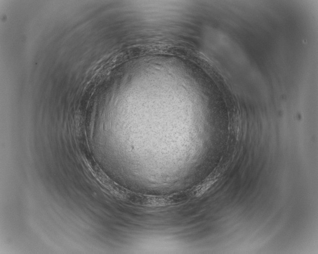 X0000053060757200508011914