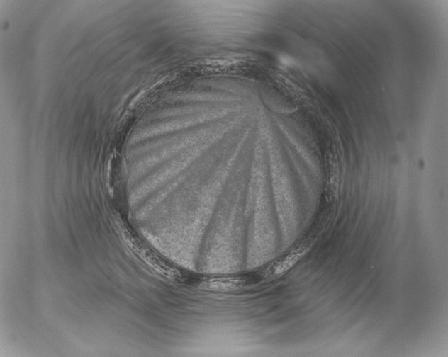 X0000053060758200508011914