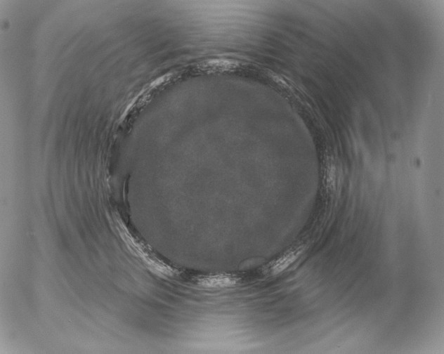 X0000053060759200508011914