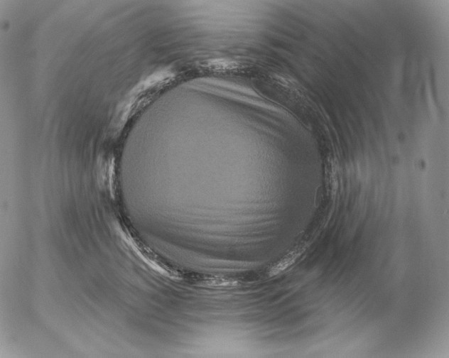 X0000053060760200508011914