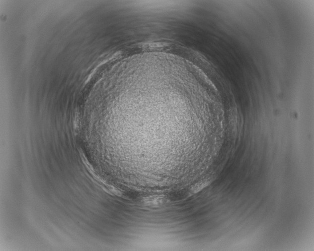 X0000053060761200508011914