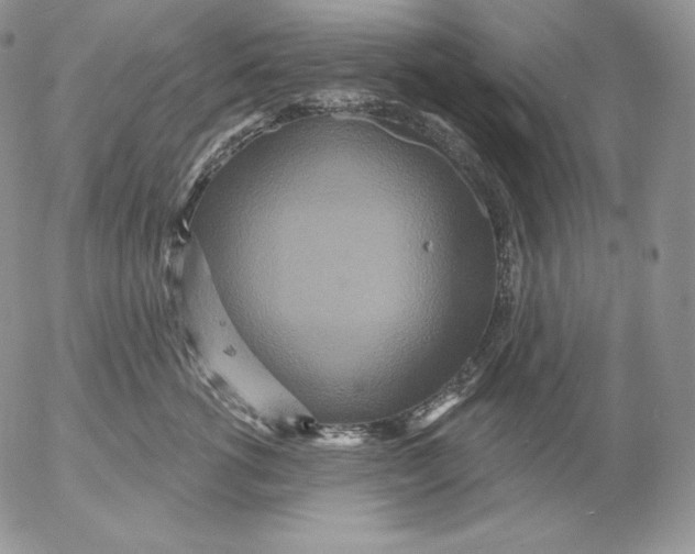 X0000053060762200508011914