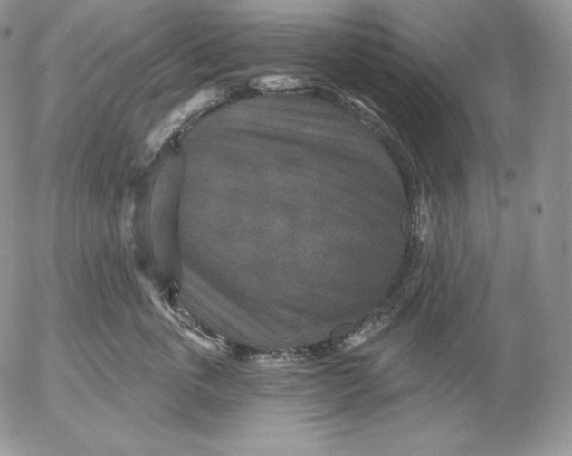 X0000053060763200508011914