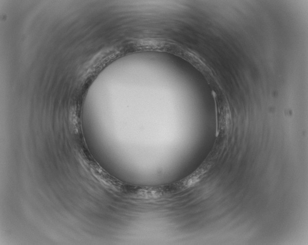 X0000053060764200508011914