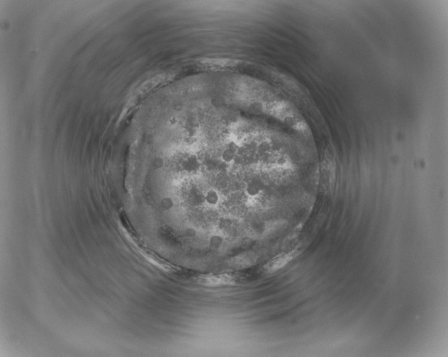 X0000053060765200508011914