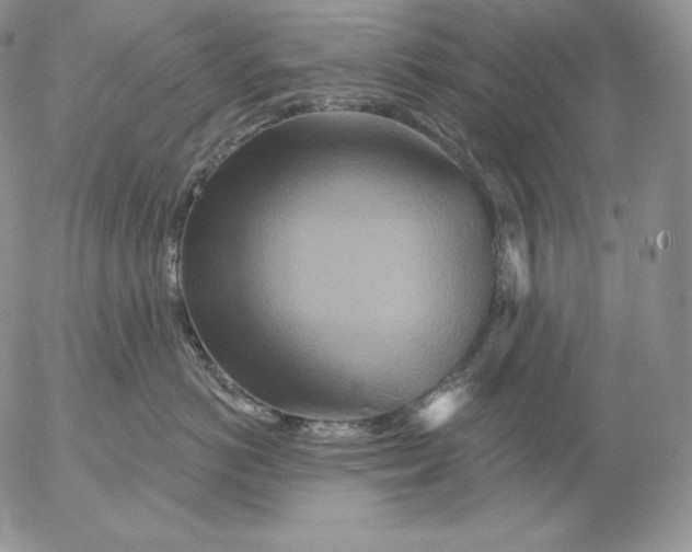 X0000053060766200508011914