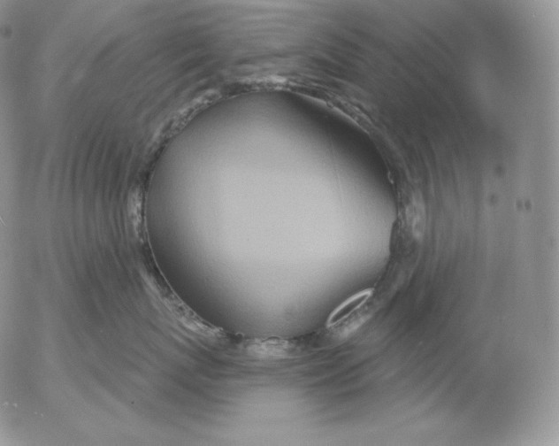 X0000053060767200508011914