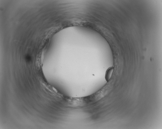 X0000053060768200508011914