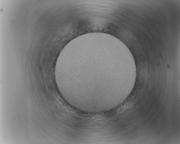 X0000053060769200508011913