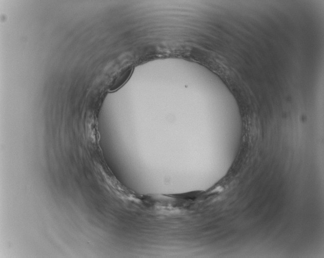 X0000053060770200508011913