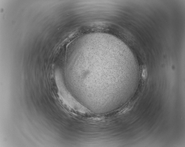 X0000053060771200508011913