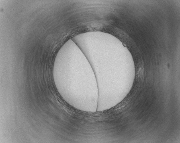 X0000053060772200508011913