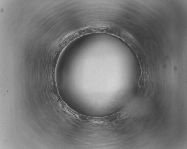 X0000053060773200508011913