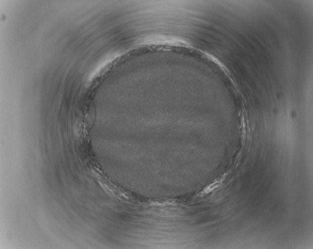 X0000053060775200508011913