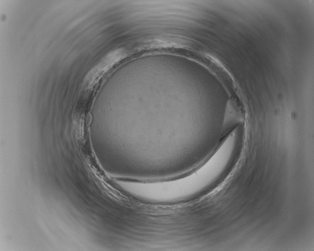 X0000053060777200508011913