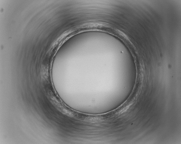 X0000053060778200508011913