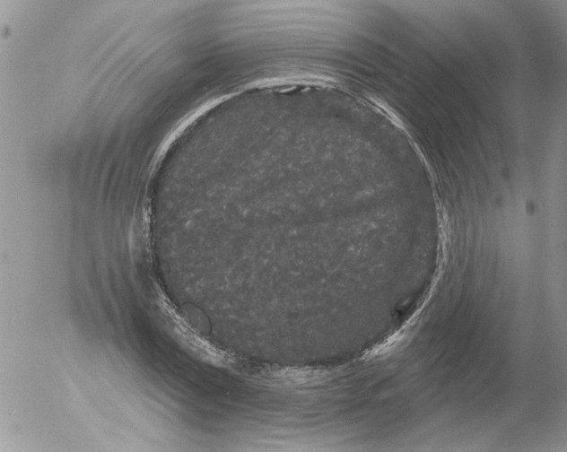 X0000053060779200508011913