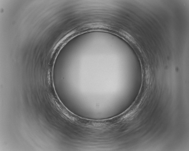 X0000053060782200508011913