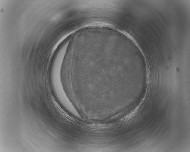 X0000053060783200508011913