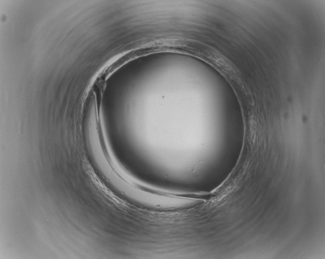 X0000053060784200508011913