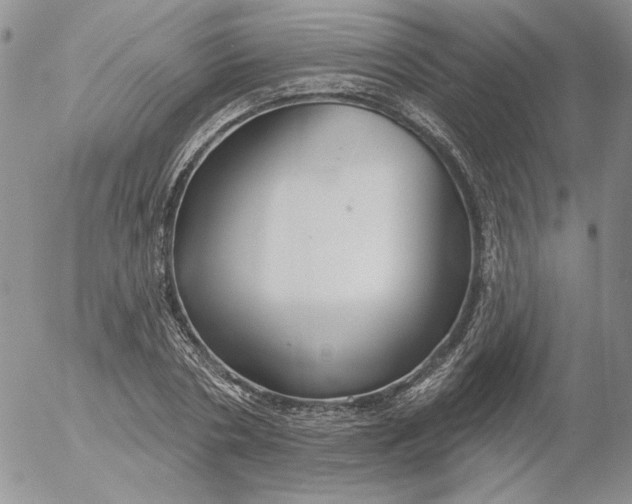 X0000053060786200508011913